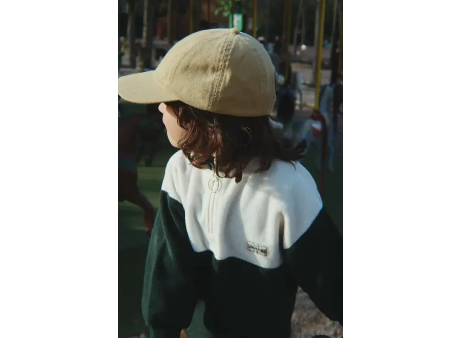 Tavi half zip - Scarab