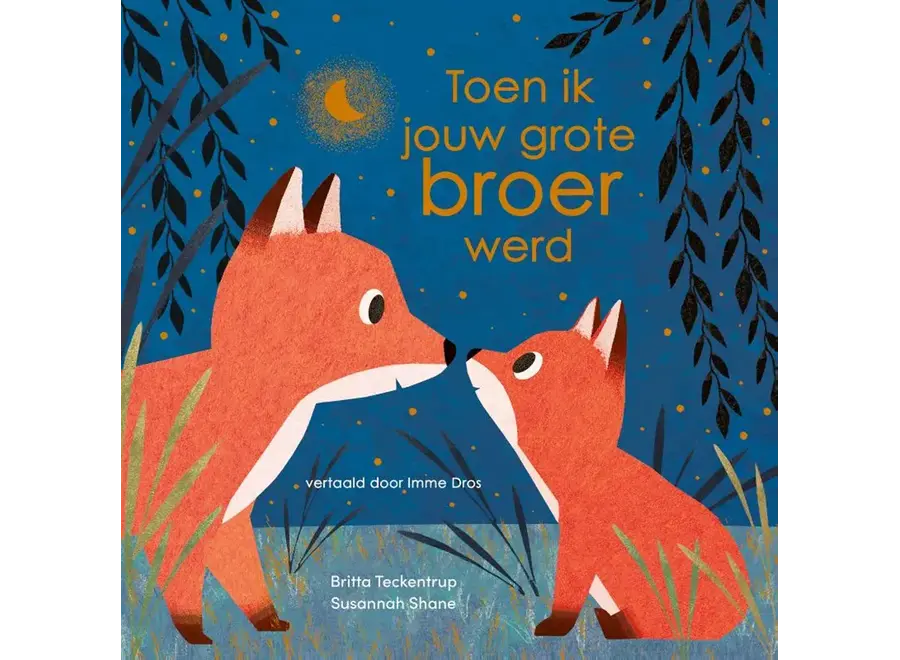 Toen ik jouw grote broer werd (3+)
