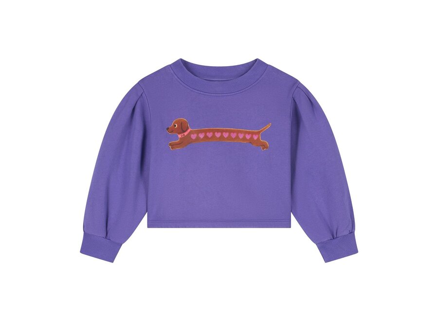 Heart dog cropped sweater