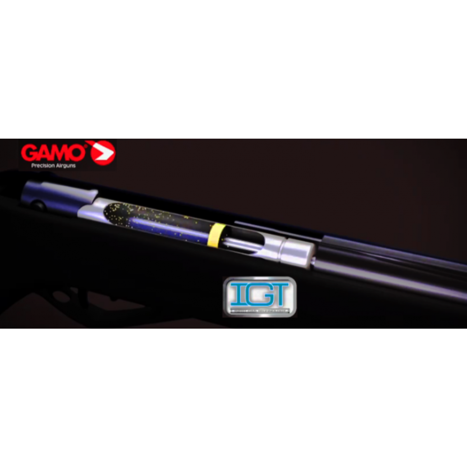 Gamo Gamo P900 IGT Gunset