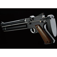 Artemis Artemis PP750 PCP Carbine
