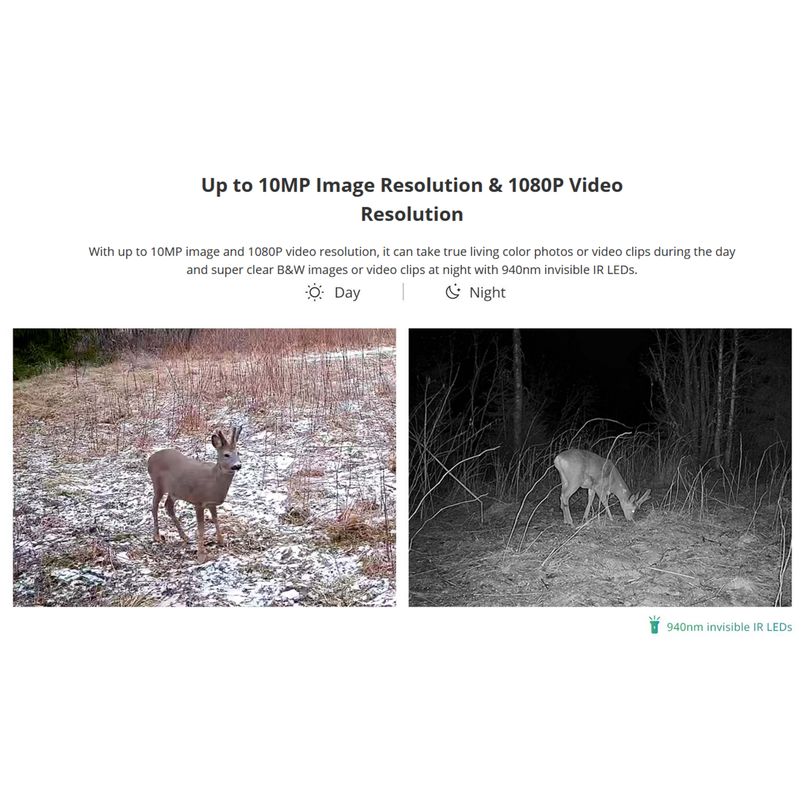 Hikmicro Wildlife/Hunting Camera HikMicro M15