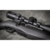 FX Airguns FX DRS Classic Synthetic 700