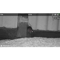 Hikmicro Alpex 4K Lite A40EL LRF Day/night scope