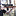 FX Airguns FX DRS Classic Walnut 600