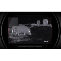 Hikmicro Hikmicro Falcon 2.0 FQ35 Thermal spotter