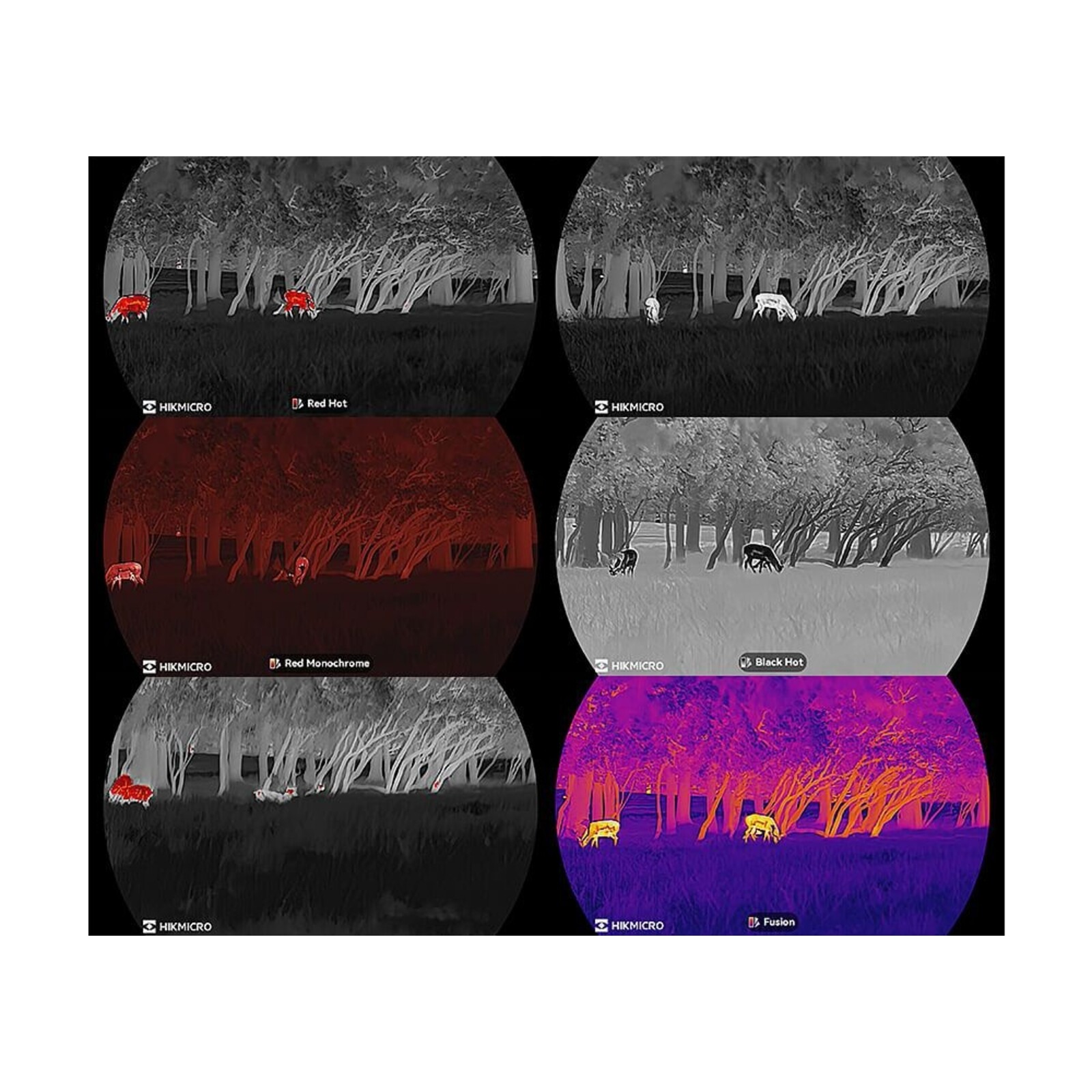 Hikmicro Thermal spotter Lynx LH19