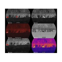 Hikmicro Thermal spotter Lynx 3.0 LH19