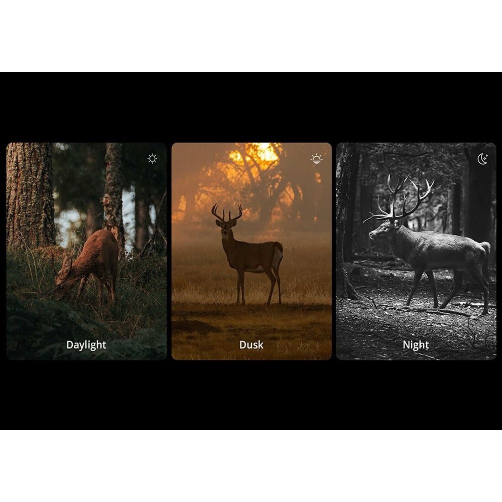 Hikmicro Alpex Pro A50PL Day/Night rifle scope  | LRF