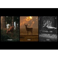 Hikmicro Alpex Pro A50PL Day/Night rifle scope  | LRF