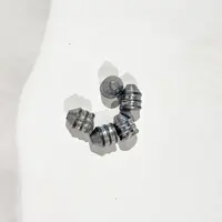 Precision Pellets NL PPNL Flat point slugs | .495 | 250 grains