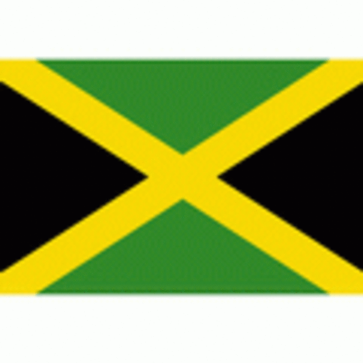 Jamaicaanse vlag