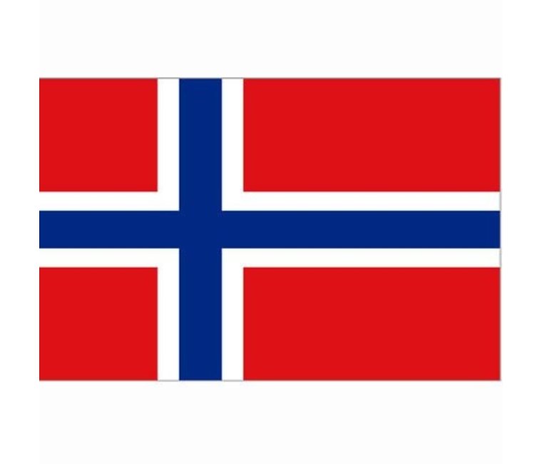 zeevruchten Een effectief verschijnen Noorse vlag - Dicks Dumpstore