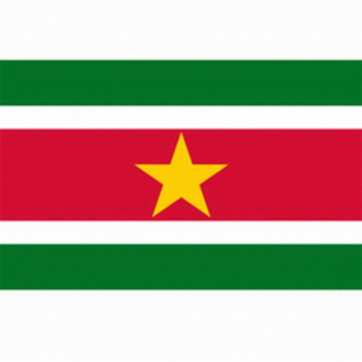 Vlag suriname