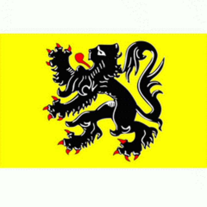 Vlag Vlaanderen / Vlaamse Vlag