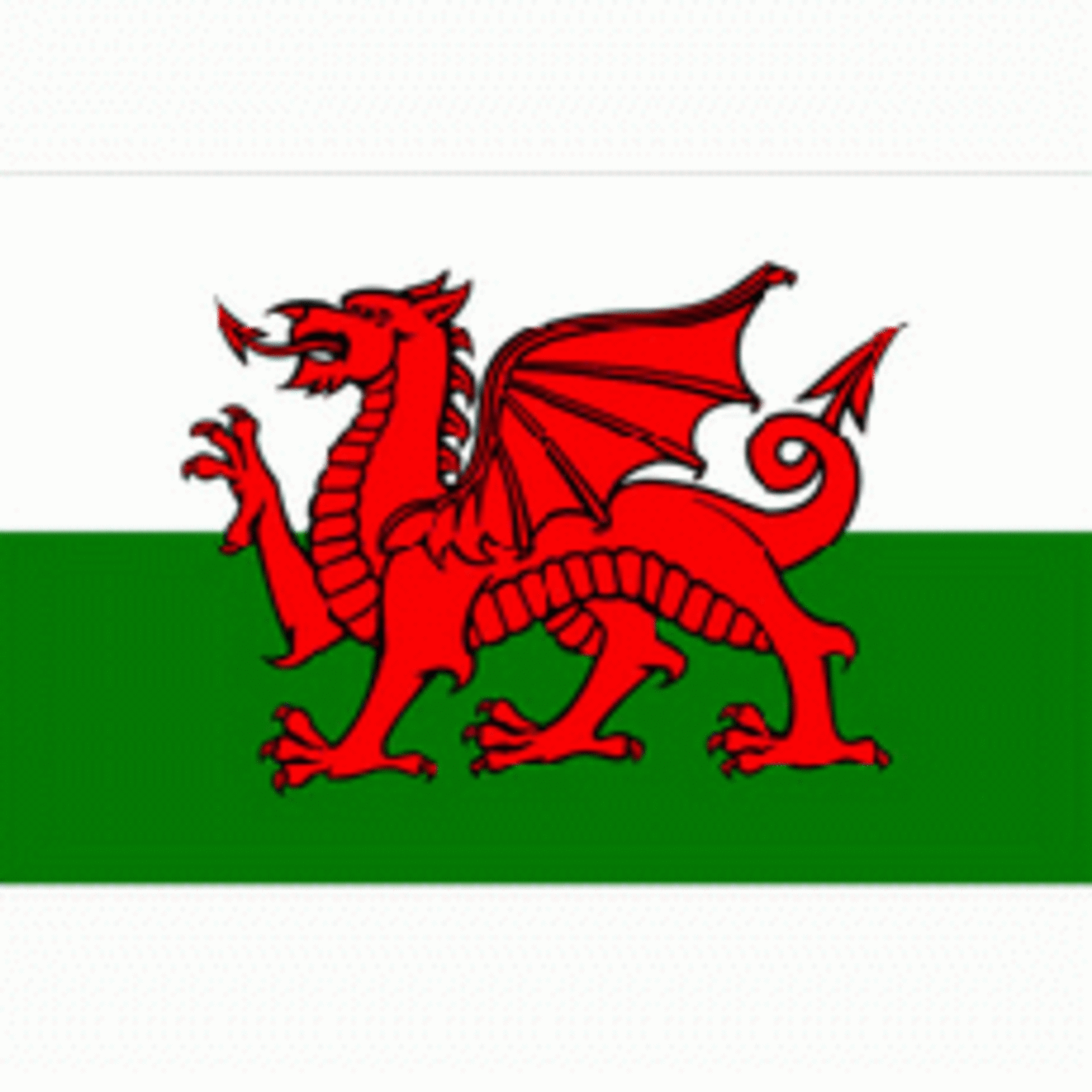 Fosco Industries Vlag Wales