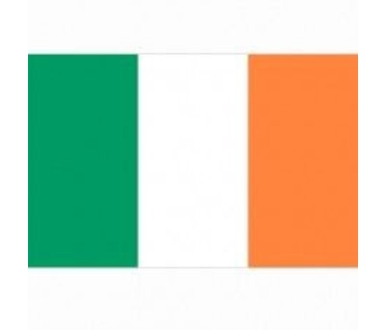 Waakzaamheid bereik Samenhangend Vlag Ierland - Dicks Dumpstore