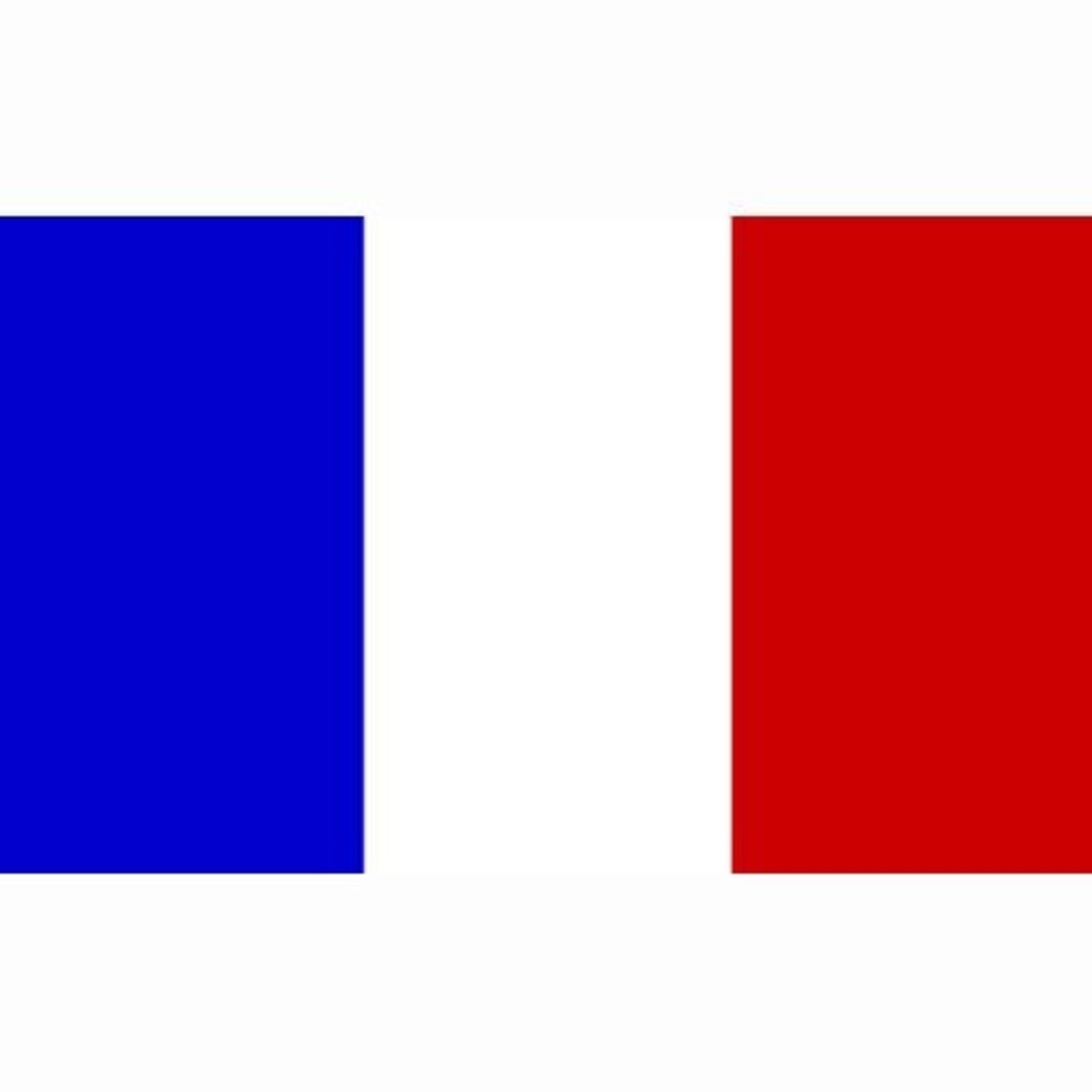 Fosco Industries Vlag Frankrijk / Franse Vlag