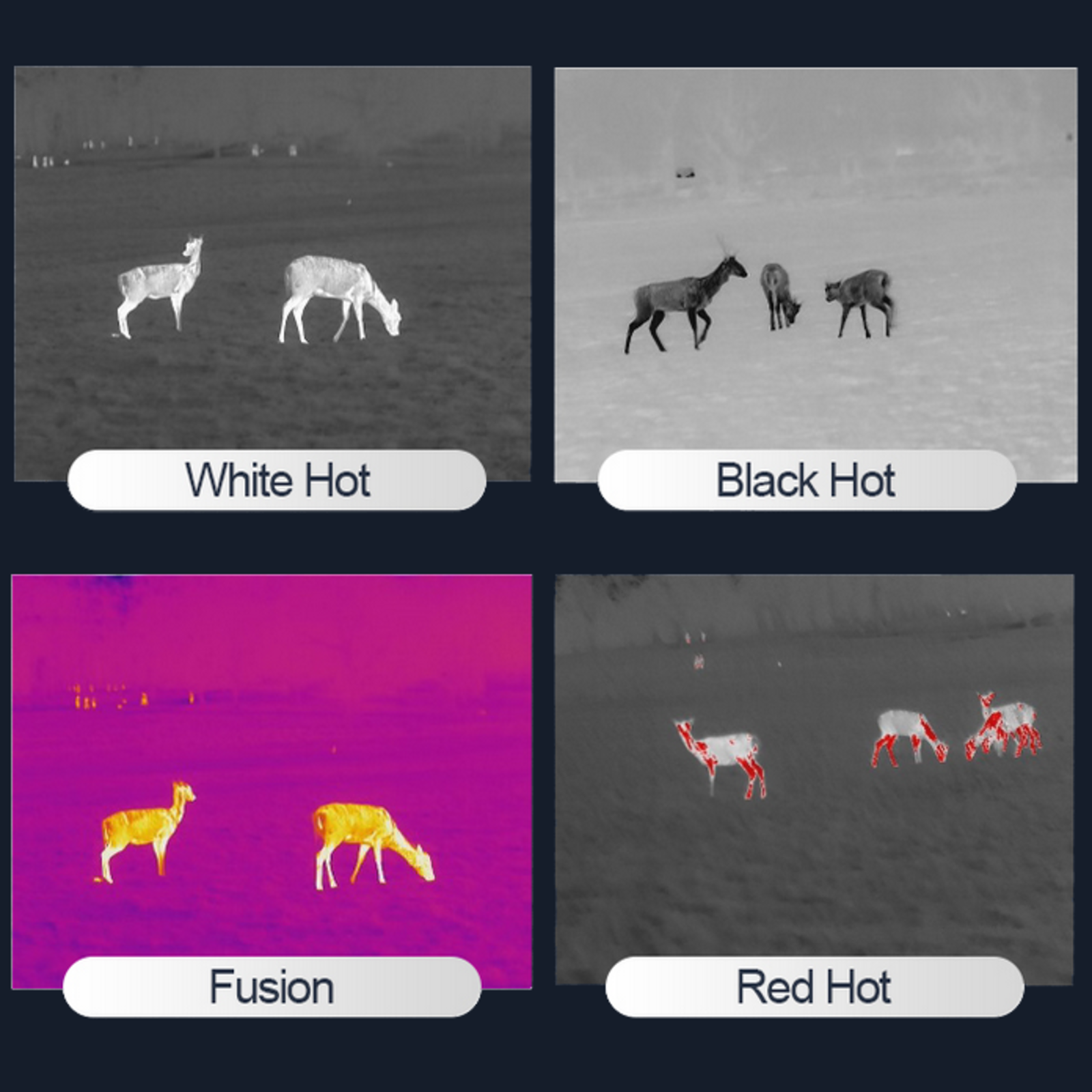 HIKMICRO LYNX LC06 Thermal warmtebeeld kijker