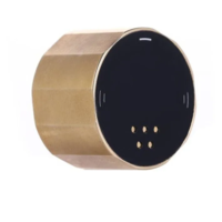 Sekhmet Digitale Manometer 1/8 BSP Brass