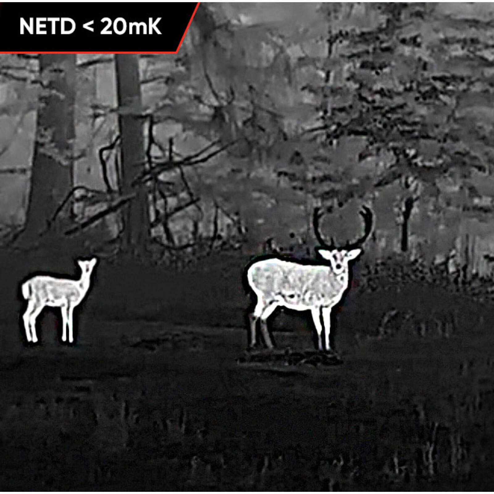 HIKMICRO warmtebeeld Clip-on Hikmicro Thunder 2.0 TH35PCR