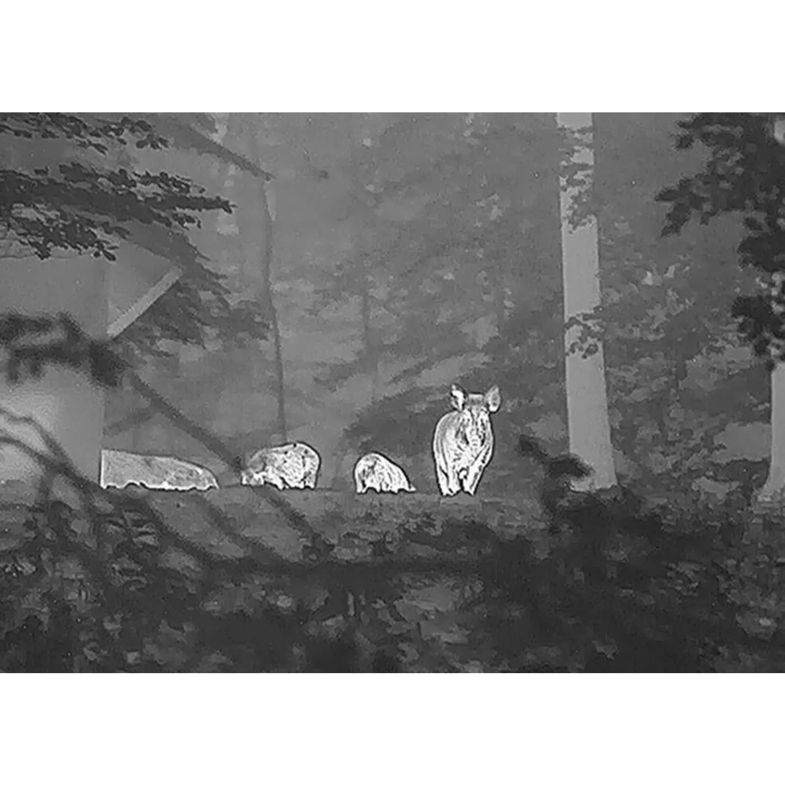 Warmtebeeld Spotters & Verrekijkers