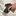 Airgunseurope Optiek rails Umarex TP50