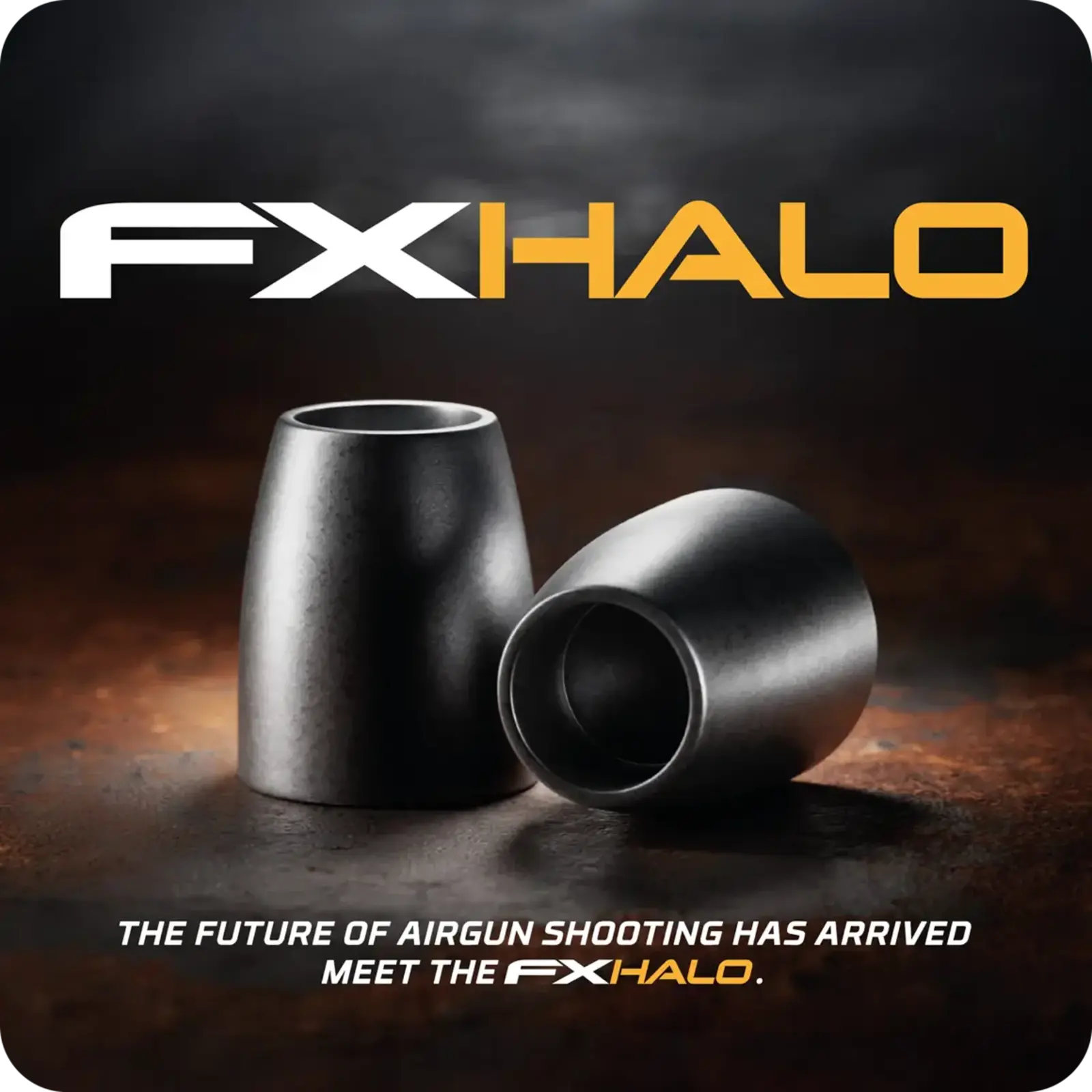 FX Airguns FX Halo Slugs | 7,62mm (.30) | 46 grains