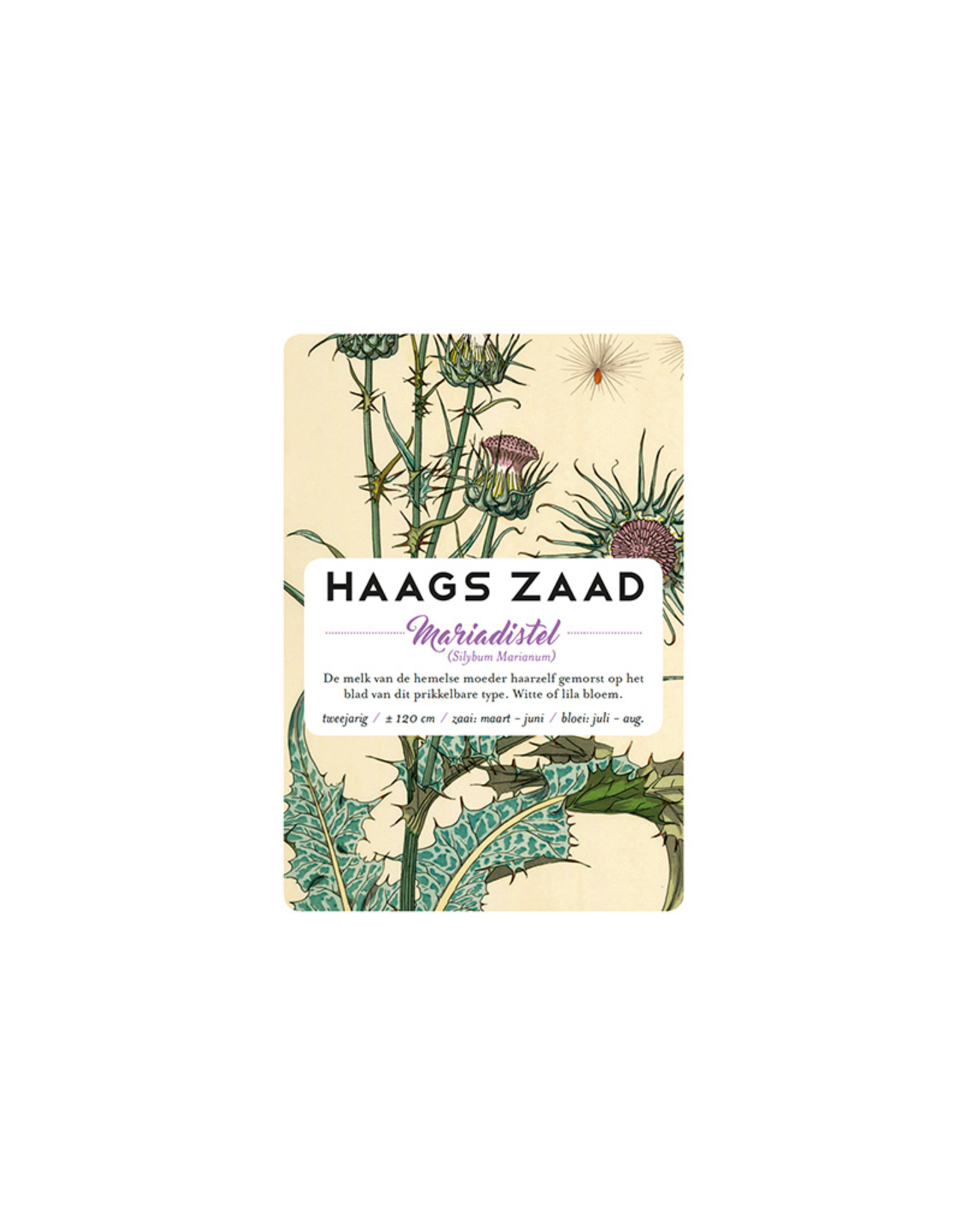 Haags Zaad Mariadistel - Haags Zaad