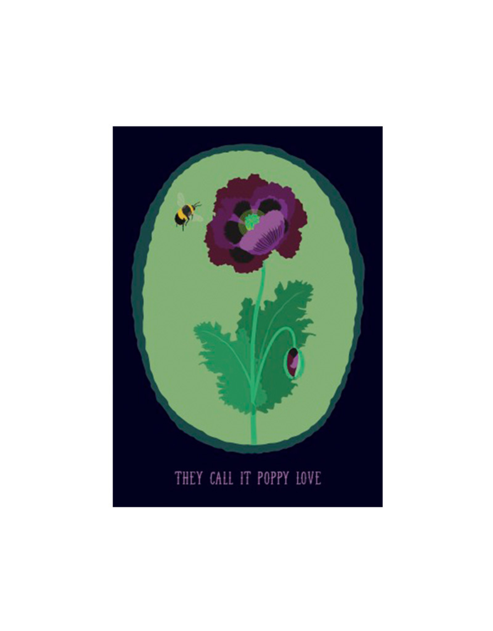 Haags Zaad English Poppy Love - Haags Zaad