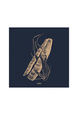 Noahd Noahd - Razor Clam T-shirt