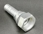 Femelles BSP fond plat