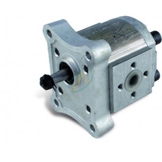 Pompe à engrenage 1,6 CC Gr.1 D