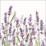 Ambiente, Servetten, Lavender  shades white, 33x33cm, 3 lagen