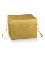 Verpakking, Goud kleurig, Doos 28x20x35