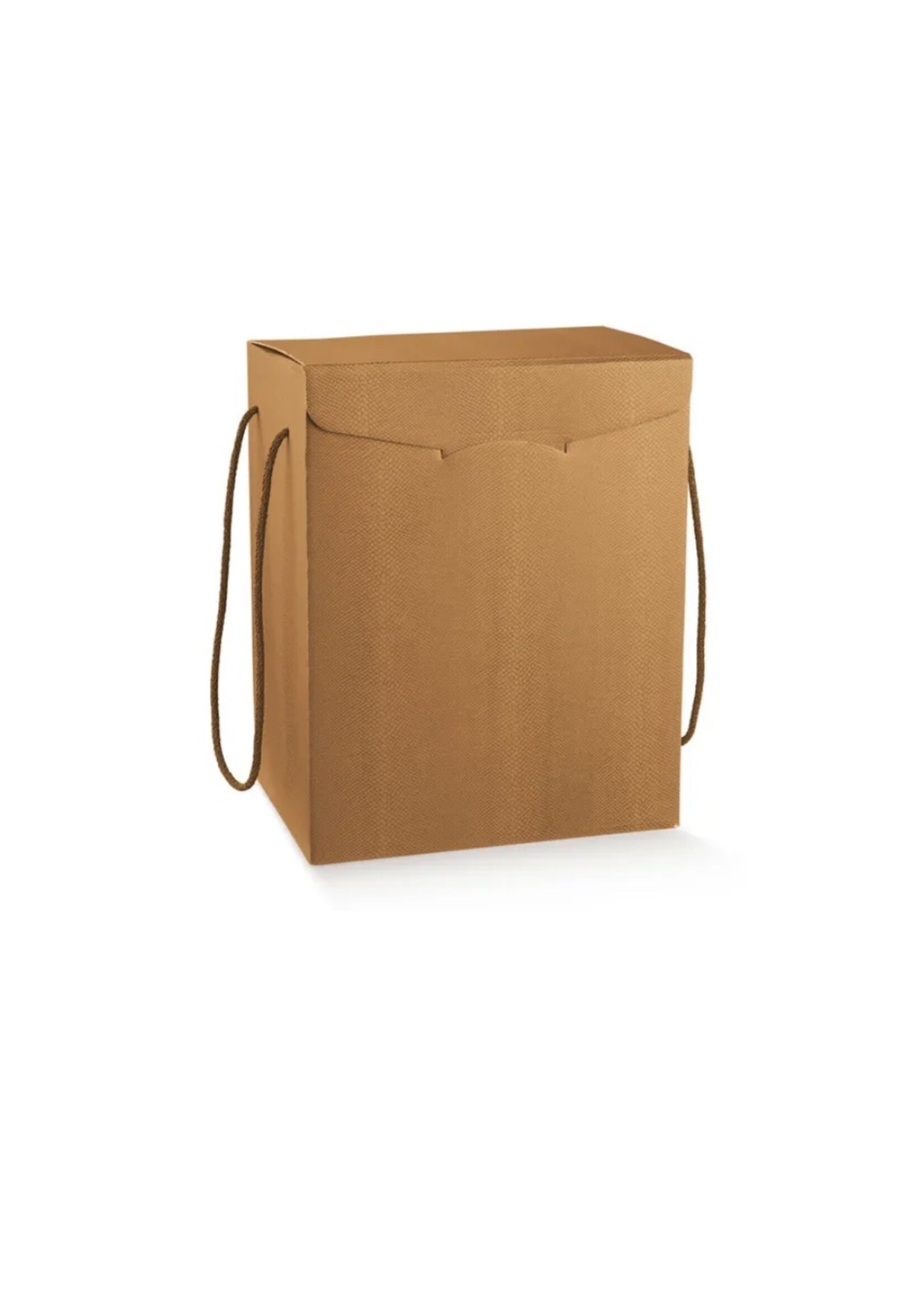 Verpakking, Goud kleurig, Doos 28x20x35