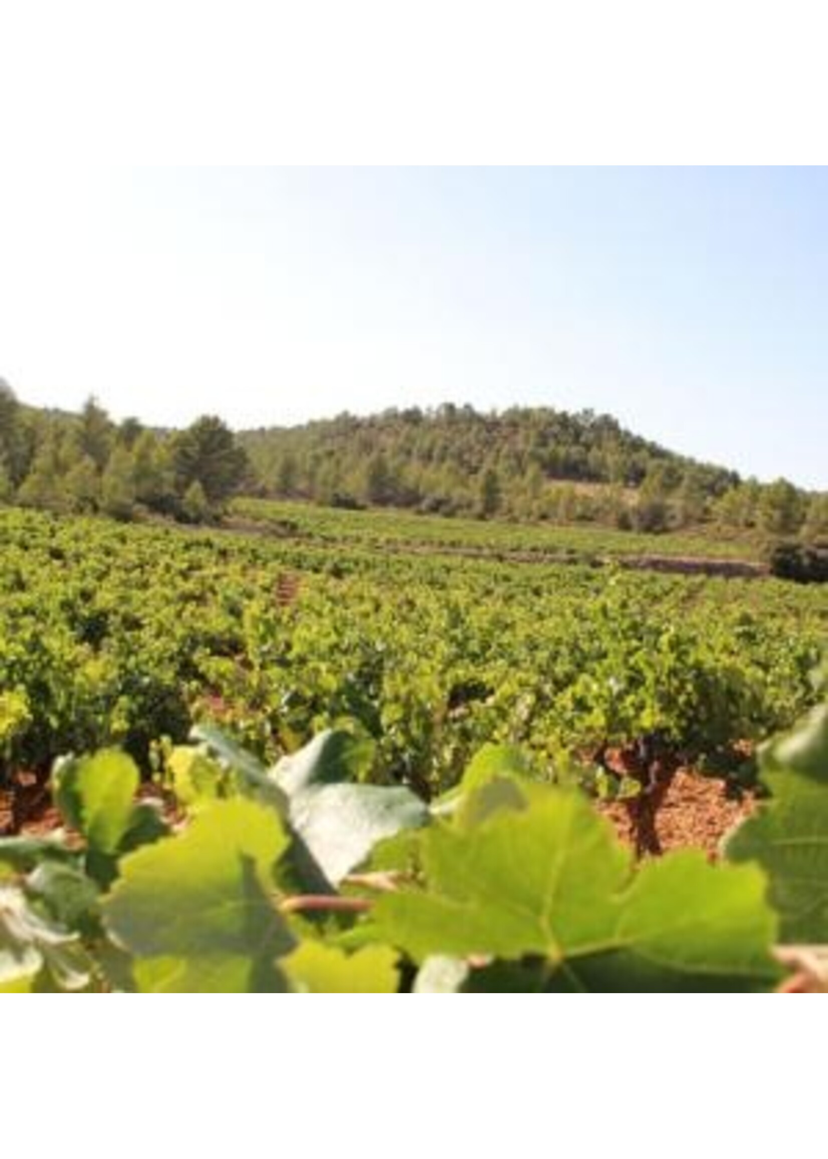 Wijn, Bodega de Moya Tasting Box