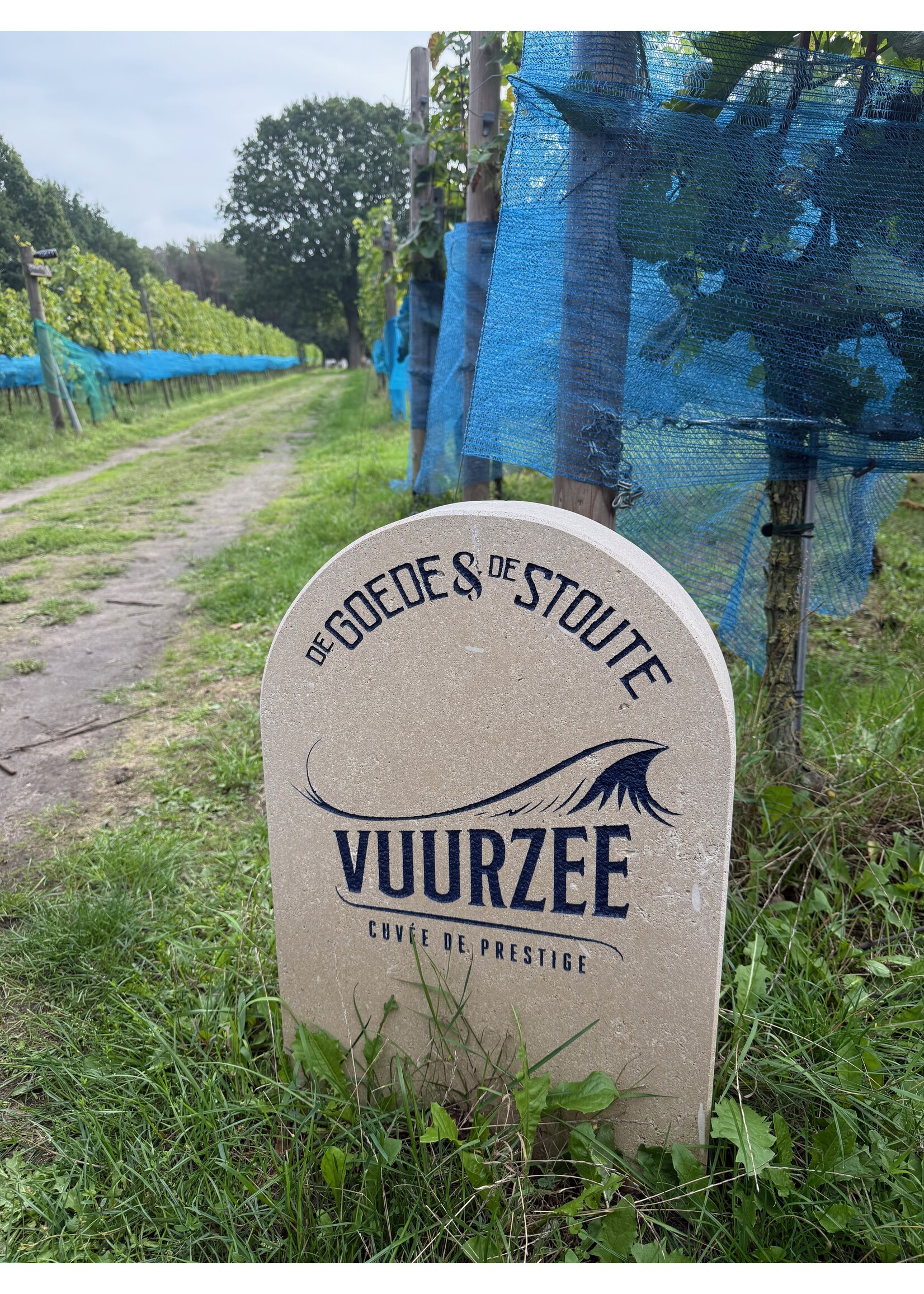 deStouteendeGoede Vuurzee, Voor de Bougondiër, sprankelende, bekroonde Brut Bier, speciaal voor jou!