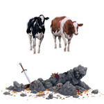 La Jungle – Fall Off The Apex