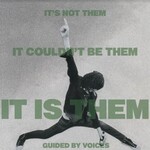 Guided By Voices - It's Not Them. It Couldn't Be Them