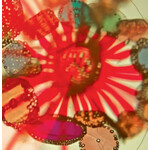 Pak Yan Lau – Bakunawa