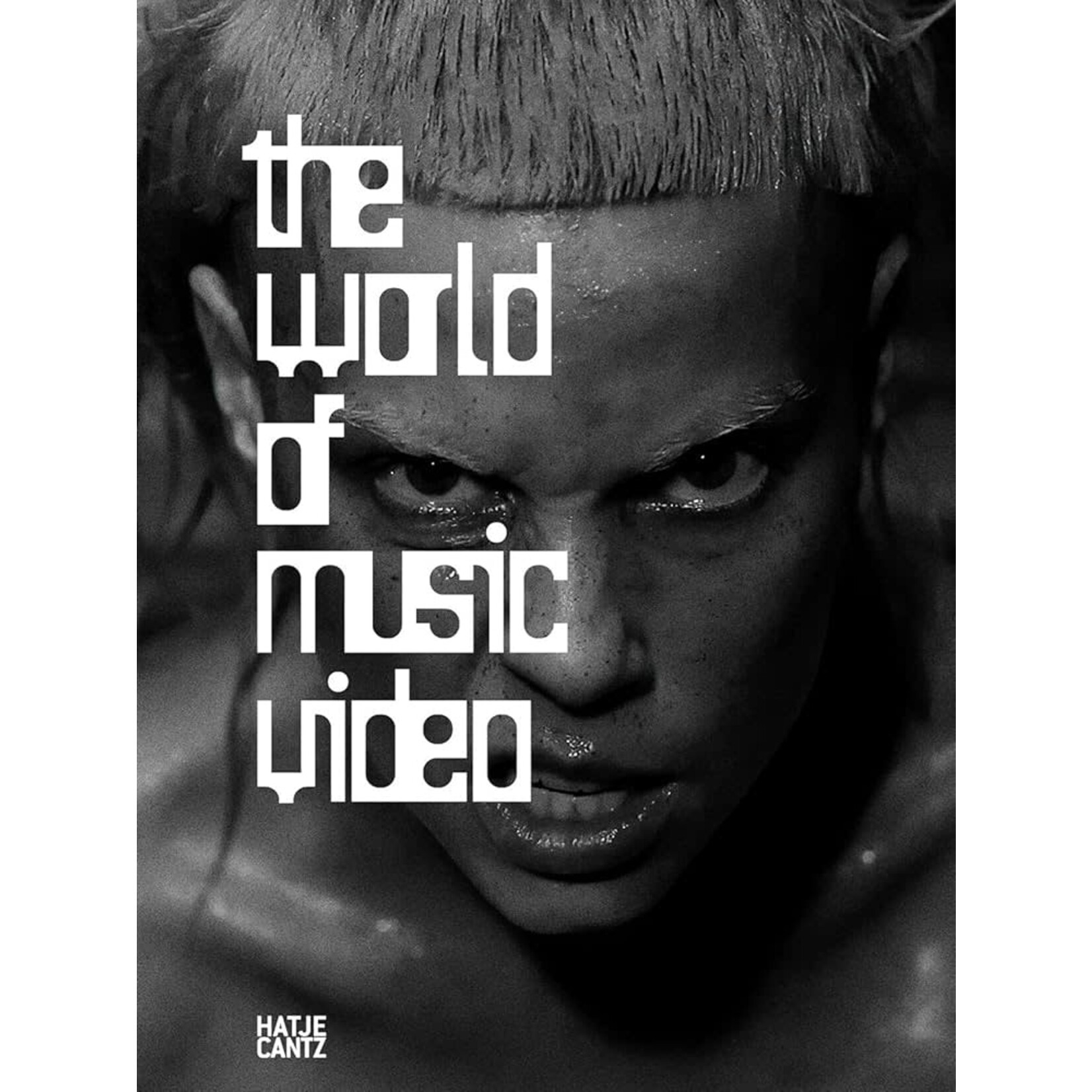 The World Of Music Video