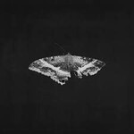 Kendrick Lamar - To Pimp A Butterfly (Special Edition)