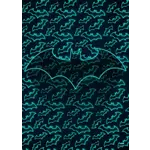 DC Comics - Symbols Of Hope - Neon Knight (45x32)