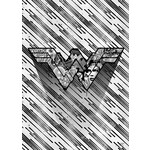 DC Comics - Symbols Of Hope - Noir (45x32)