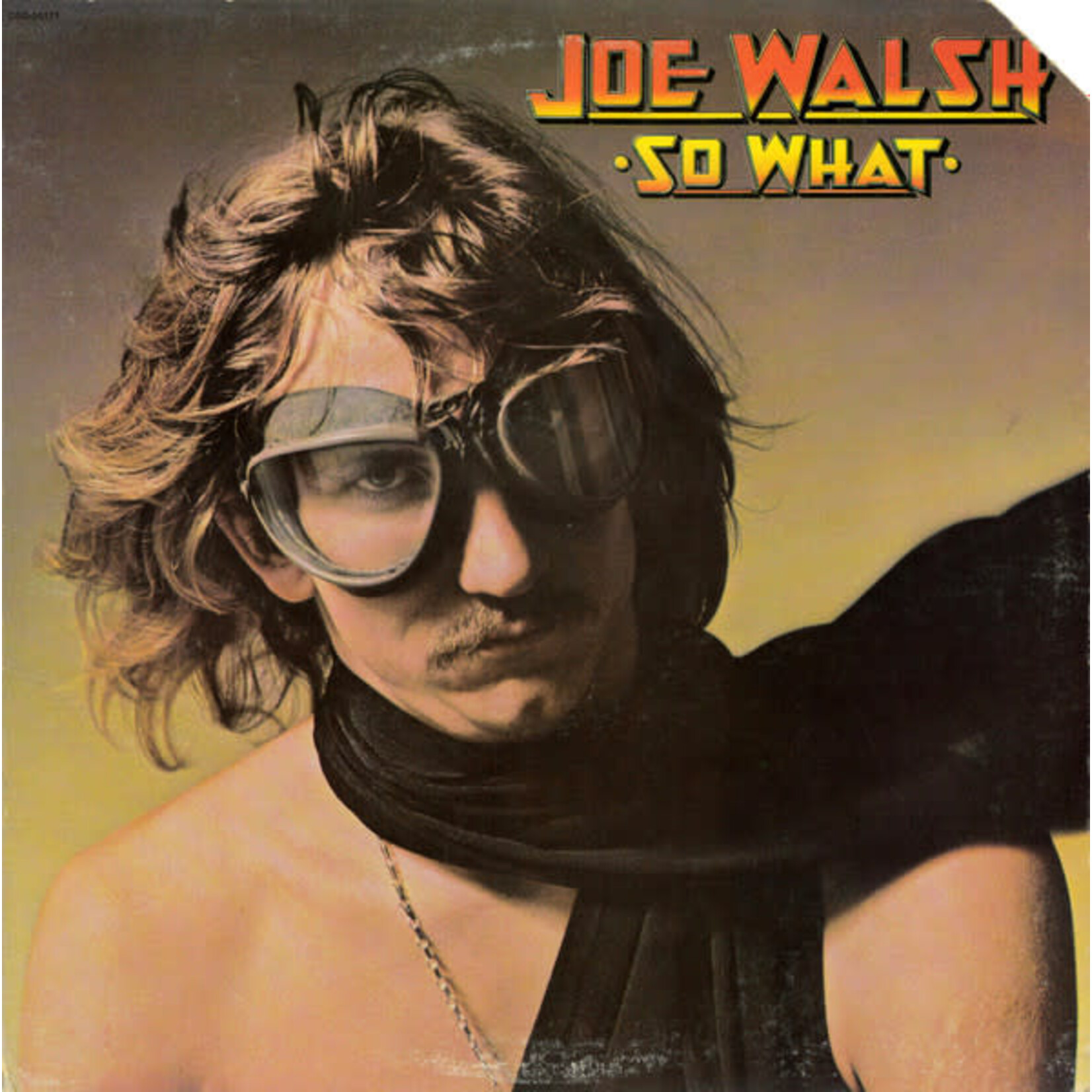 Joe Walsh – So What (VG)