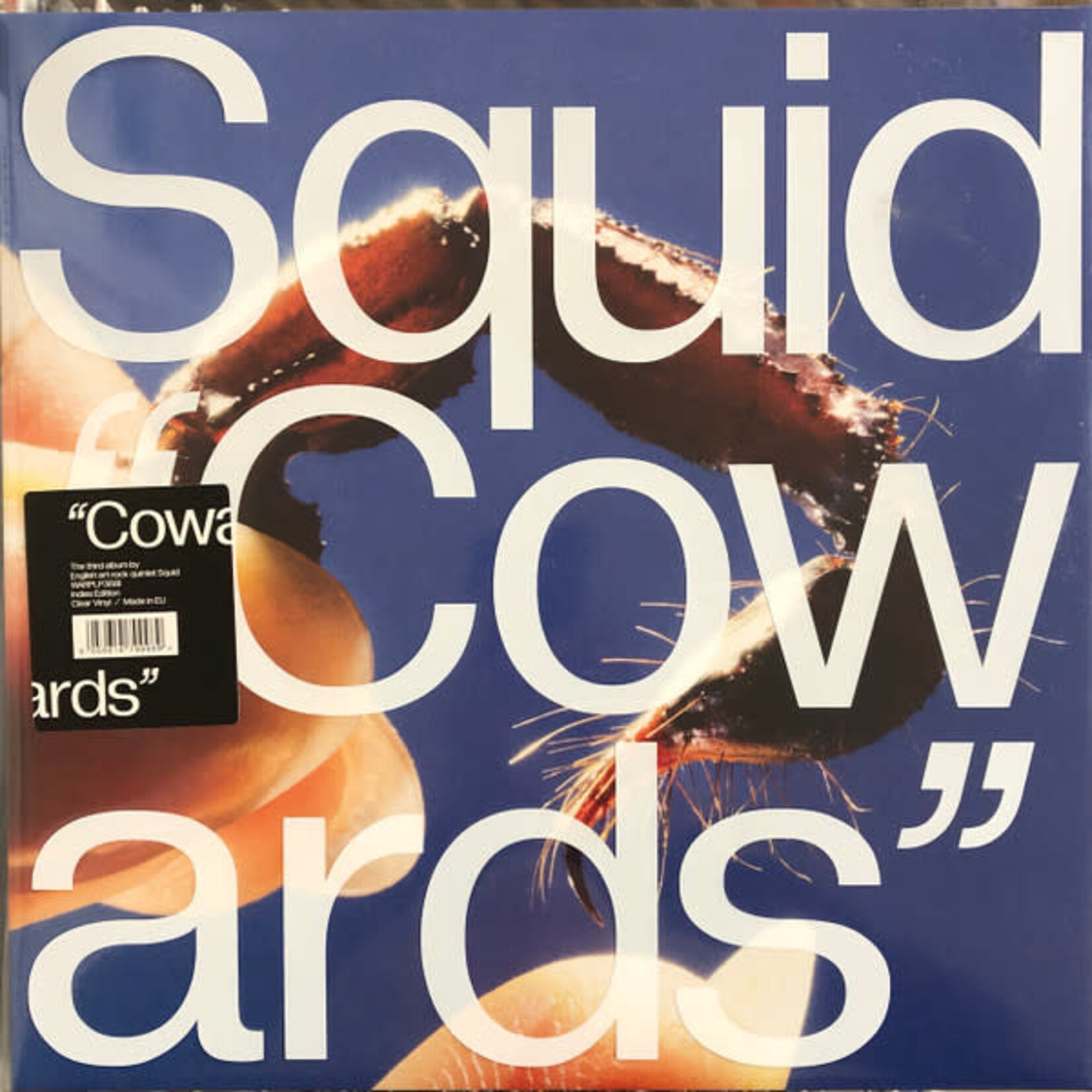 Squid – Cowards