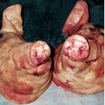 Armand Hammer & The Alchemist -  Haram