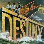 The Jacksons – Destiny (VG)