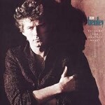 Don Henley – Building The Perfect Beast (VG)